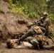 On Patrol: SOI-W Detachment Hawaii AIMC class 3-25 conducts ambush maneuvers at KTA