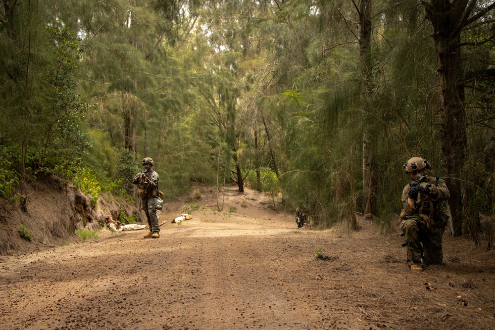 On Patrol: SOI-W Detachment Hawaii AIMC class 3-25 conducts ambush maneuvers at KTA