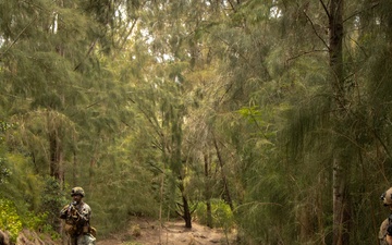 On Patrol: SOI-W Detachment Hawaii AIMC class 3-25 conducts ambush maneuvers at KTA