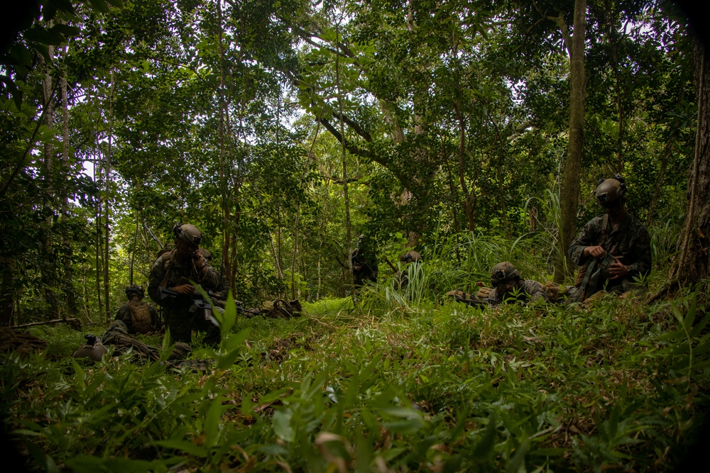 On Patrol: SOI-W Detachment Hawaii AIMC class 3-25 conducts ambush maneuvers at KTA