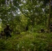 On Patrol: SOI-W Detachment Hawaii AIMC class 3-25 conducts ambush maneuvers at KTA
