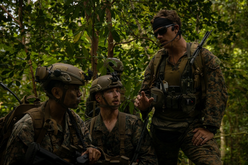 On Patrol: SOI-W Detachment Hawaii AIMC class 3-25 conducts ambush maneuvers at KTA