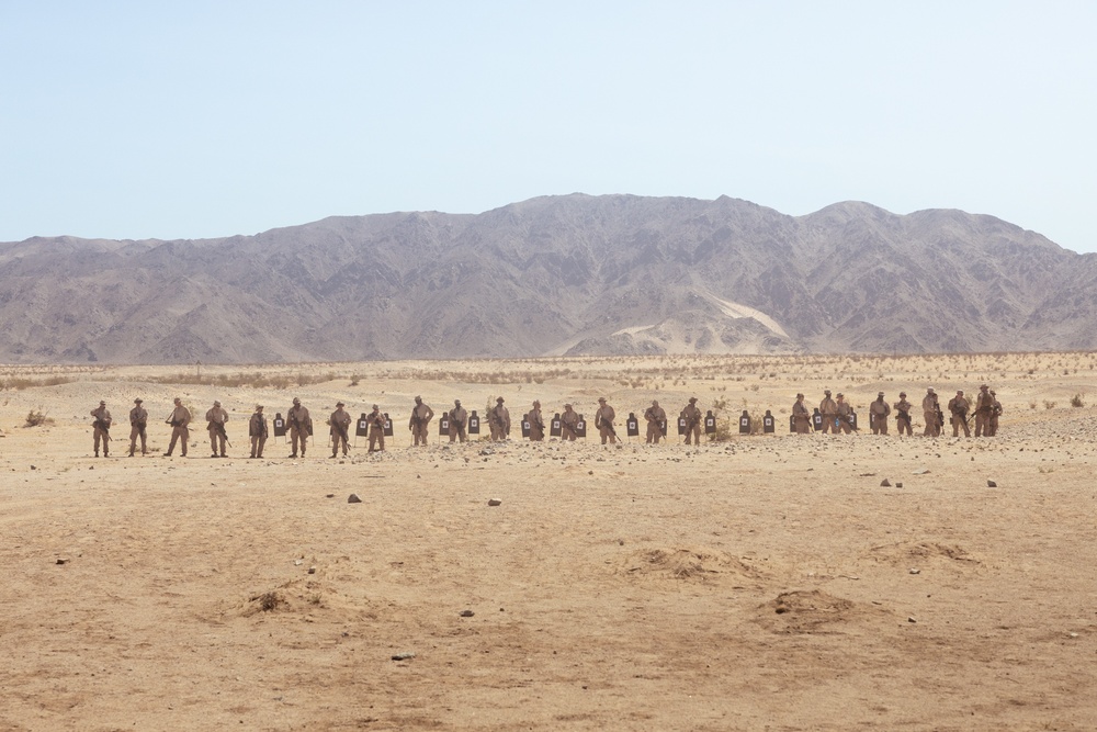 ITX 3-25: Marines with 2/25 sight in