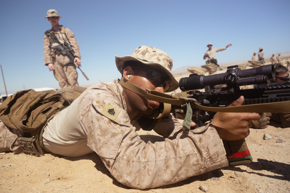 ITX 3-25: Marines with 2/25 sight in