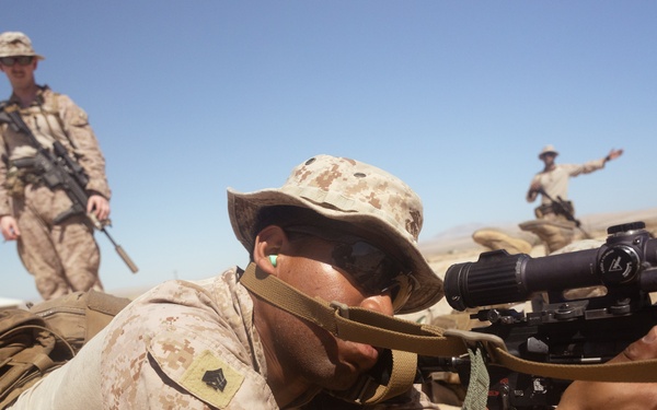 ITX 3-25: Marines with 2/25 sight in