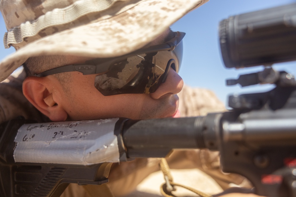 ITX 3-25: Marines with 2/25 sight in