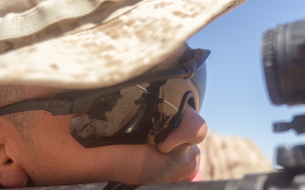 ITX 3-25: Marines with 2/25 sight in