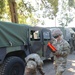 Spearhead Rollout