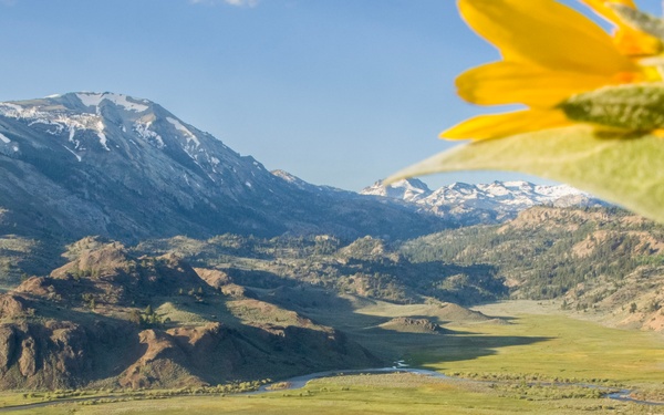 “Early Bird Gets the Worm” Marines Prove as They Conduct a Supply Hike Throughout the Mountains At the Break of Dawn