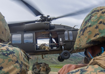 Marines with Combat Logistics Battalion 23 Execute Mountain Training Exercise 3-25