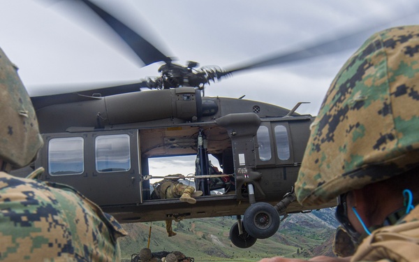 Marines with Combat Logistics Battalion 23 Execute Mountain Training Exercise 3-25