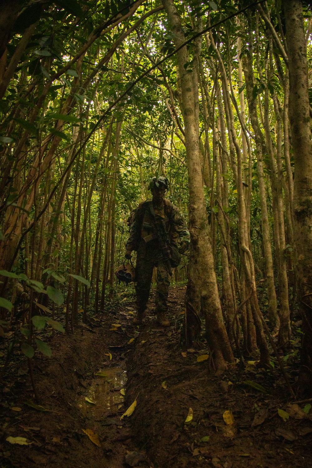 On the Offensive: SOI-W Detachment Hawaii AIMC class 3-25 conducts offensive maneuvers at KTA