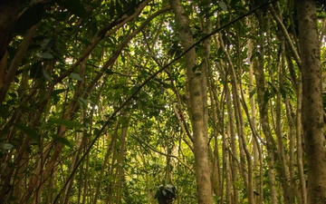 On the Offensive: SOI-W Detachment Hawaii AIMC class 3-25 conducts offensive maneuvers at KTA