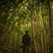 On the Offensive: SOI-W Detachment Hawaii AIMC class 3-25 conducts offensive maneuvers at KTA