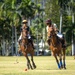 U.S. Army Pacific Hosts Army Polo Team