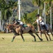 U.S. Army Pacific Hosts Army Polo Team