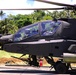Salaknib 25: Task Force Gimlets' Island Assault