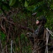 U.S, South Korean Special Forces operators conduct combined training