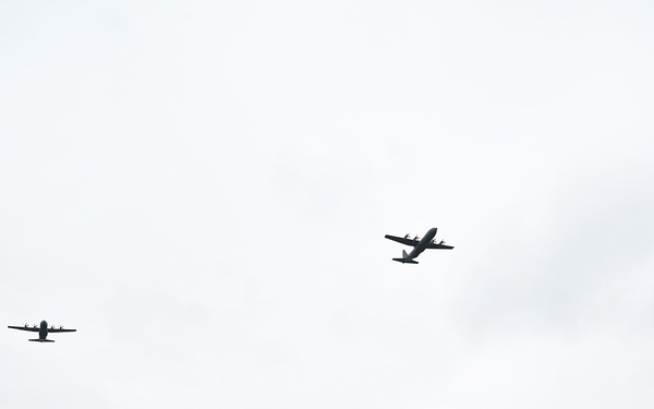 DDay 81
