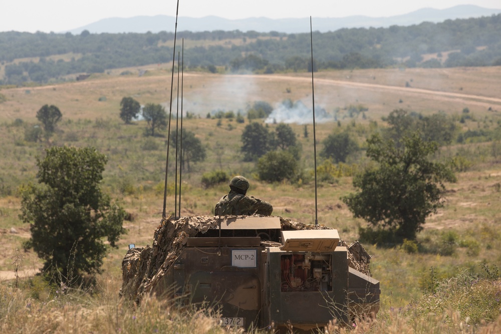 Balkan Sentinel International Live Fire Exercise and Static Display