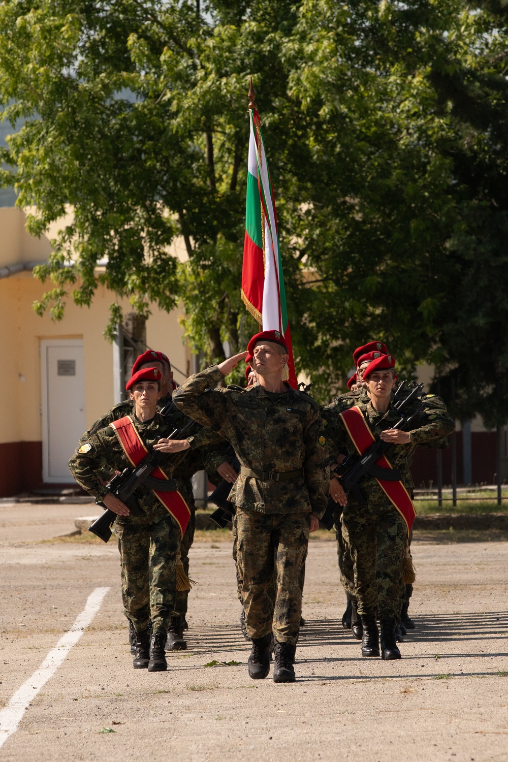 Balkan Sentinel International Live Fire Exercise and Static Display