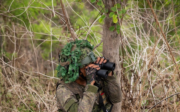 71ST IB - Scout Recon