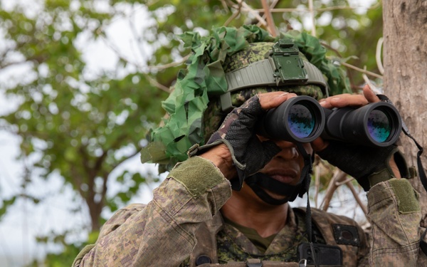 71ST IB - Scout Recon