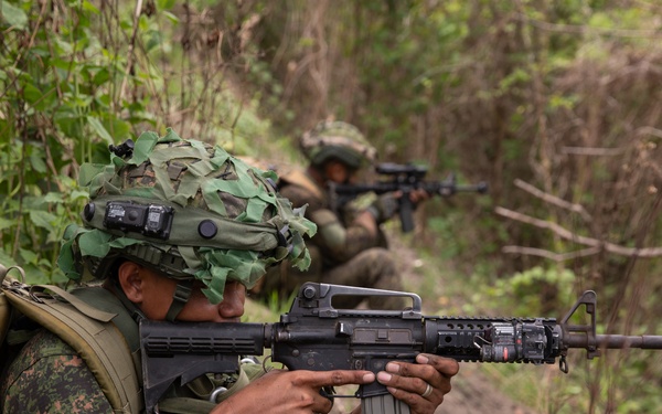 71ST IB - Scout Recon