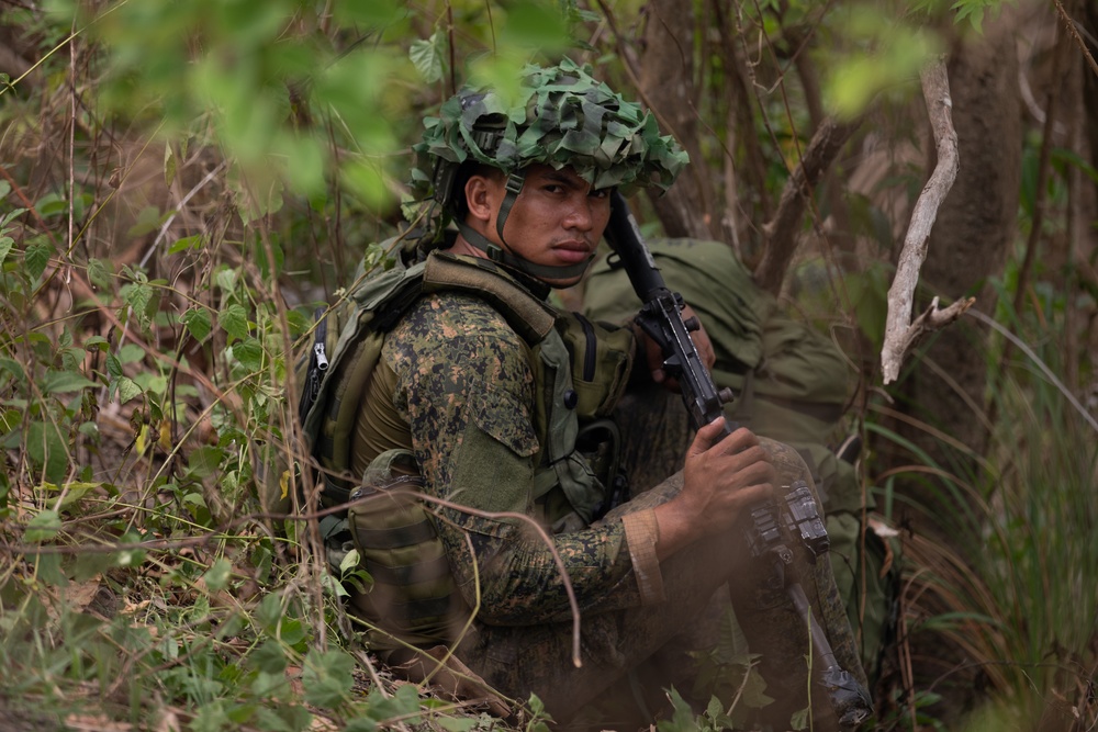 71ST IB - Scout Recon