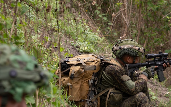 71ST IB - Scout Recon