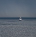 BALTOPS 2025 PHOTOEX