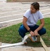 DECON Exercise