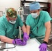 NAMRU San Antonio Researchers Collaborate for Novel Bone Fracture Fixation Technology