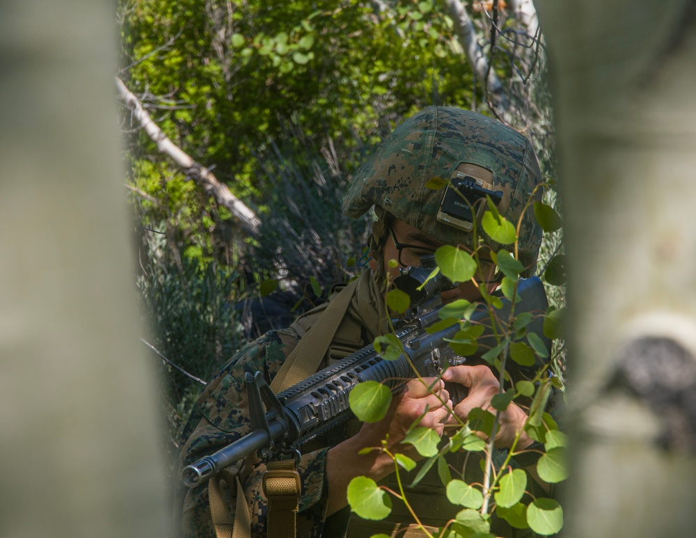 Marines with CLB Execute A Mountain Combat Foot Patrol