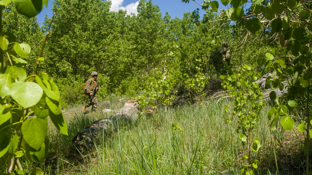 Marines with CLB Execute A Mountain Combat Foot Patrol
