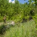 Marines with CLB Execute A Mountain Combat Foot Patrol