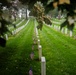 2025 &quot;Flags In&quot; at Arlington National Cemetery