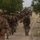 Bravo Company, 2d Combat Engineer Battalion Field Mobility Exercise