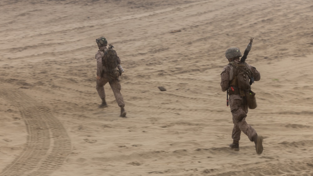 Bravo Company, 2d Combat Engineer Battalion Field Mobility Exercise