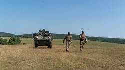 4-2 CR Sharpens Maneuver, Observation and Fieldcraft at Camp Wolf [Image 1 of 7]
