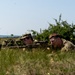 4-2 CR Sharpens Maneuver, Observation and Fieldcraft at Camp Wolf