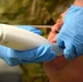 3D Printing Demo Spotlights Applications for Dental Care in the Field