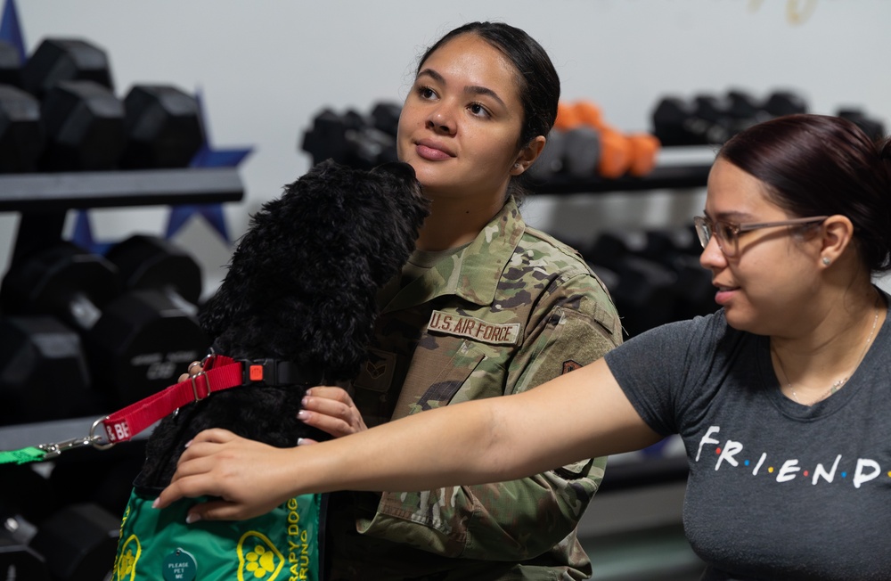Paws for People visit AFMAO