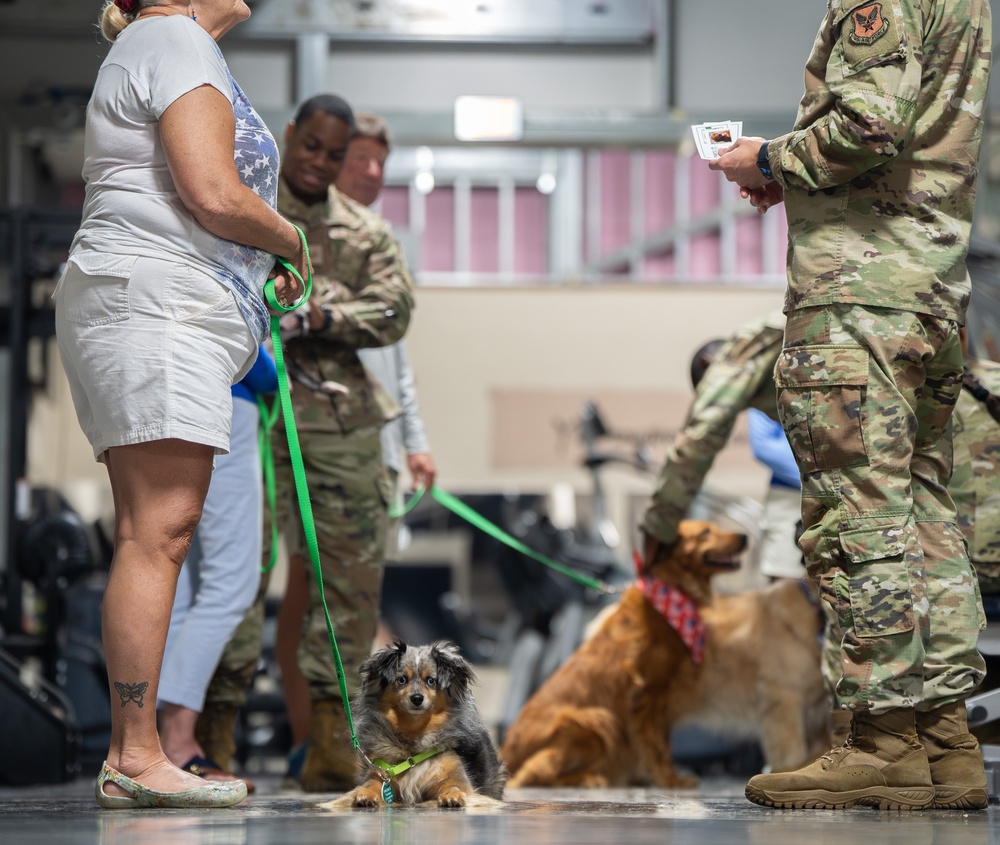 Paws for People visit AFMAO