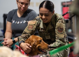 AFN Aviano Radio News: Red Cross Animal Visitation Program