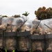 U.S. Marines rehearse nonlethal tactics to support Task Force 51