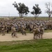 U.S. Marines attached to Task Force 51 stage for group photo