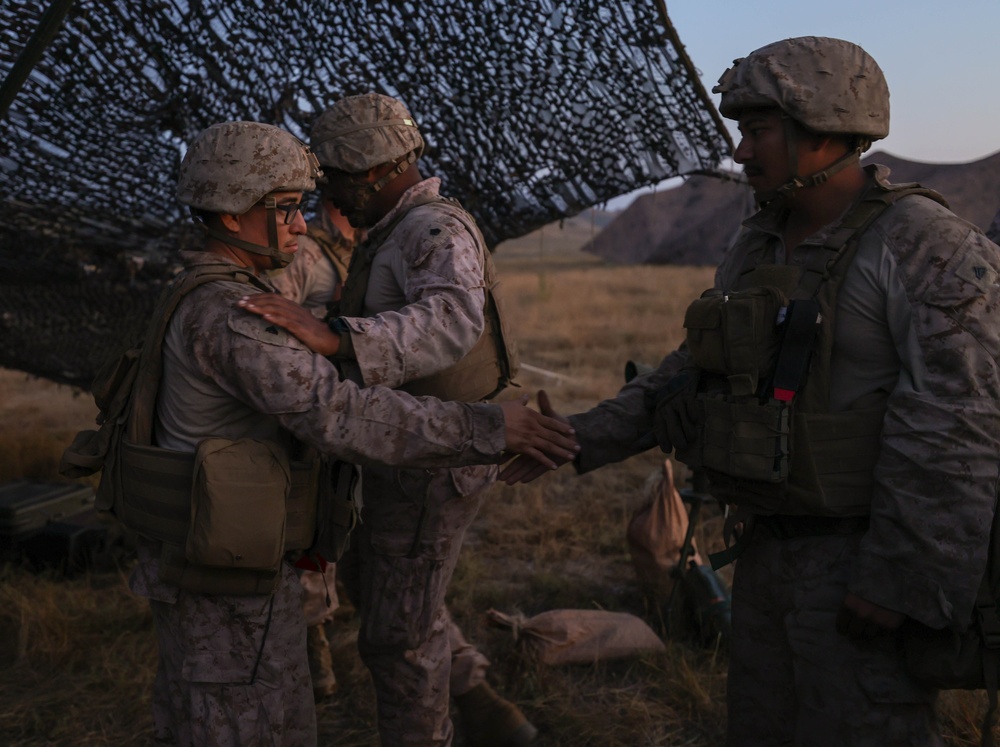 Regimental FIREX Promotions