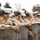 U.S. Marines attached to Task Force 51 gather for formation