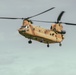 Army 250 Celebration